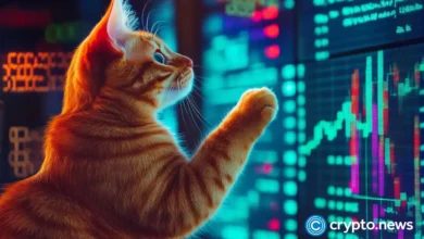 Dogecoin and Mog Coin slide, traders move to Catslap Dogecoin and Mog Coin slide, traders move to Catslap